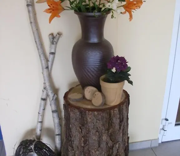 海德公园酒店 迪波尔迪斯瓦尔德